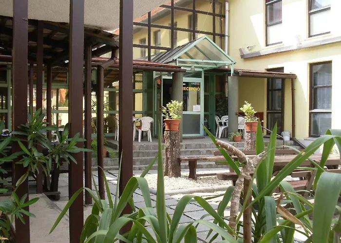 Botax 埃格尔